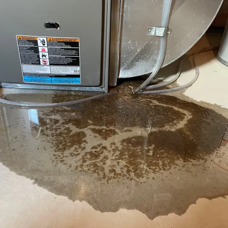 Appliance Leak Cleanup in Geneva, AL